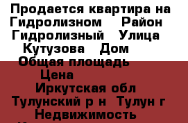 Продается квартира на Гидролизном. › Район ­ Гидролизный › Улица ­ Кутузова › Дом ­ 3 › Общая площадь ­ 42 › Цена ­ 1 100 000 - Иркутская обл., Тулунский р-н, Тулун г. Недвижимость » Квартиры продажа   